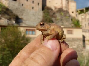 ホルモンバランスが原因の肌荒れを改善する方法は？