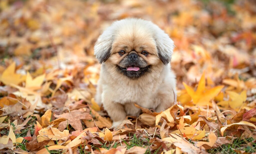 生理周期を整える方法で試すべき生活習慣は？