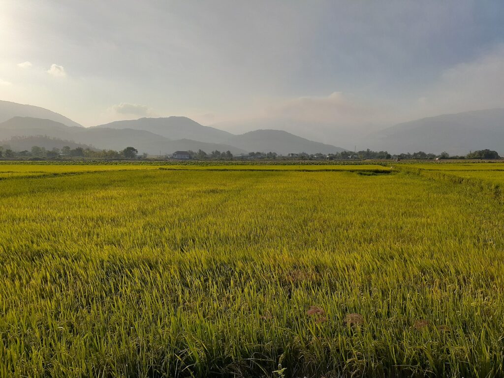 PMSに悩む方におすすめのクリームは？