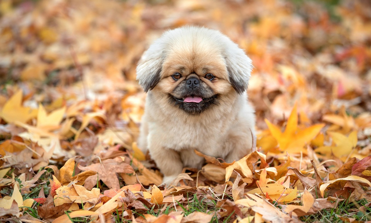 排卵期における肌の状態はどう変化するの？
