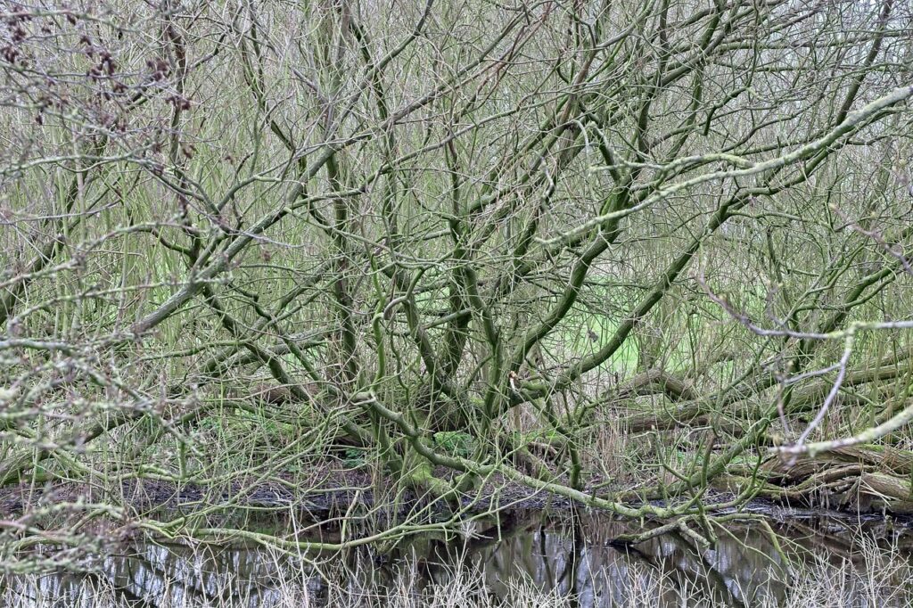 排卵期に吹き出物ができる原因とは？