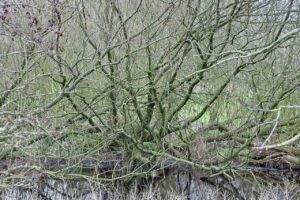 排卵期に吹き出物ができる原因とは？