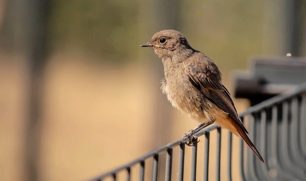 生理中にトイレが近い悩みを改善する方法は？
