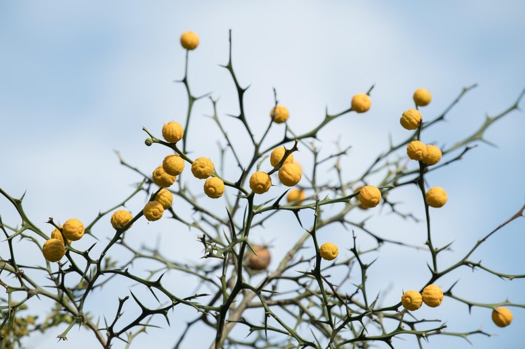 生理前の乾燥肌対策にはどんな方法が効果的ですか？