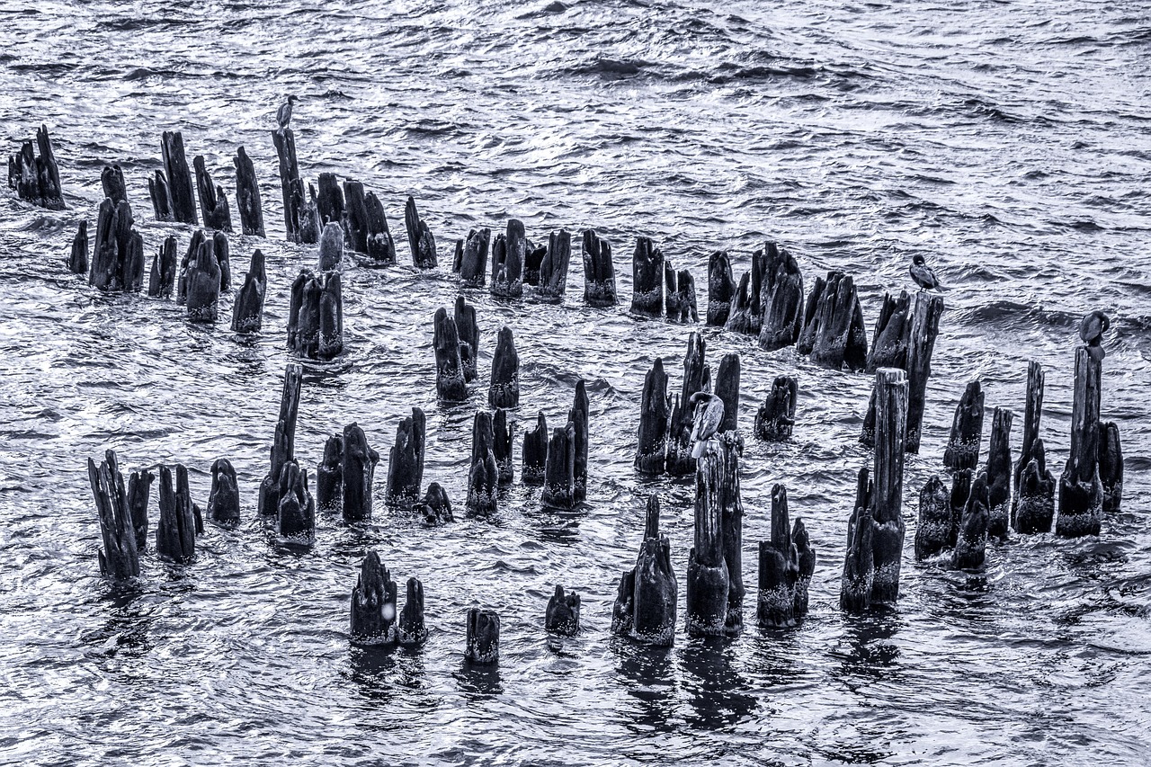 生理周期が不規則な方の改善に役立つ生活習慣とは？