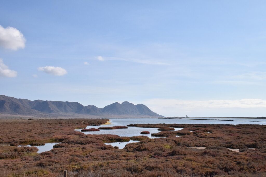 生理周期に合わせた美肌を実現する効果的な化粧品は？