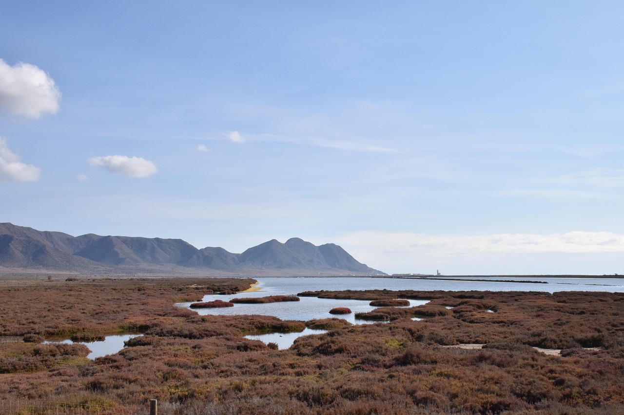 生理周期に合わせた美肌を実現する効果的な化粧品は？