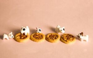 生理周期に合わせて食べ過ぎを止める方法は？