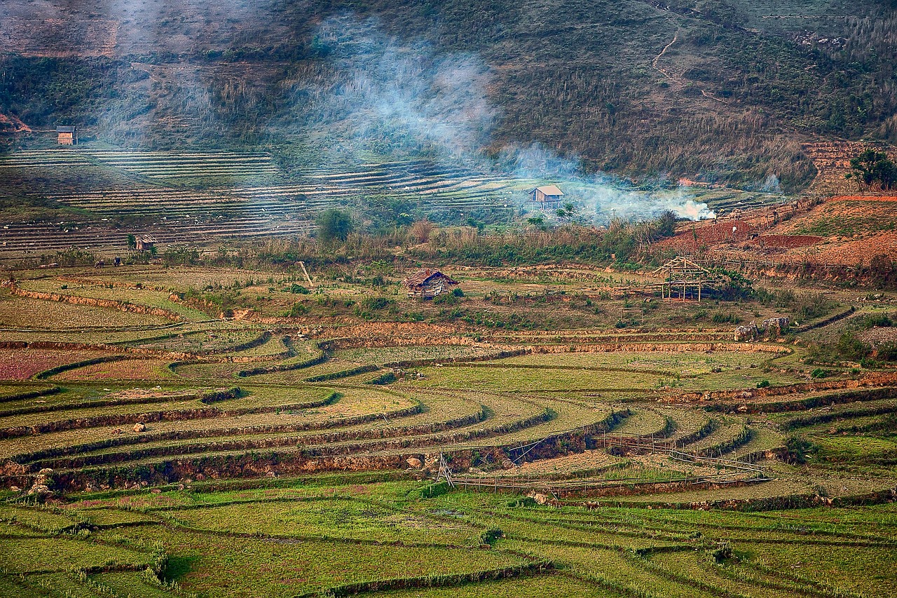 PMSの症状を軽減するための排卵前の便秘対策は？