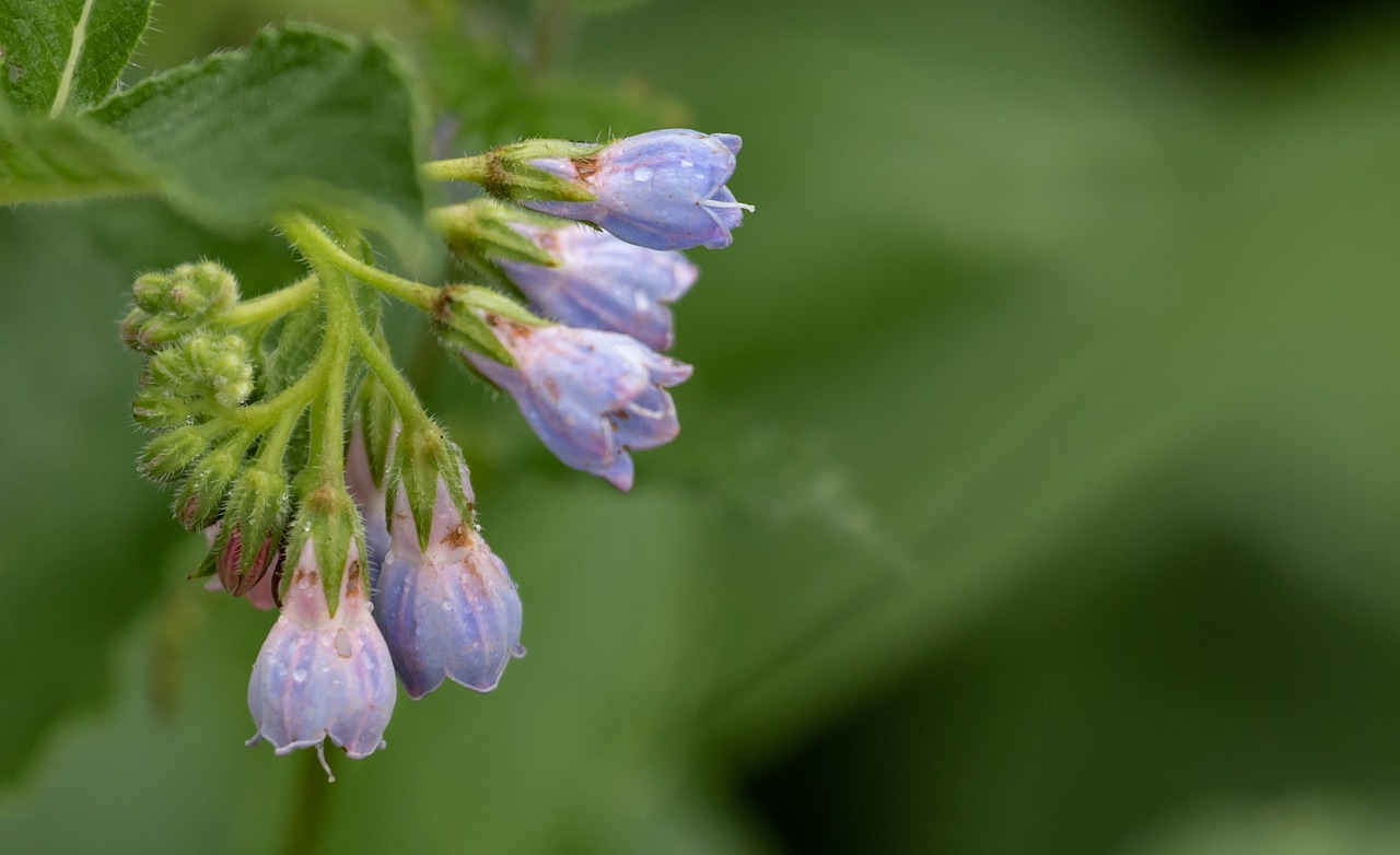 敏感肌のニキビ対策に効果的な方法は？