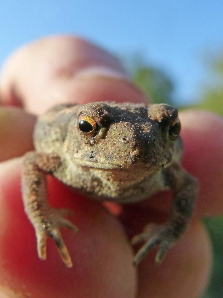黄体期に肌荒れを改善するサプリの効果は？