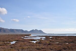 生理前と生理後の肌荒れを比較すると何がわかる？